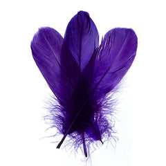 Goose Feathers 5-7" Purple 6g