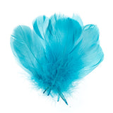 Goose Feathers Turquoise 6g