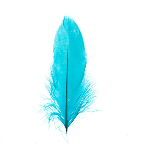 Goose Feathers Turquoise 6g