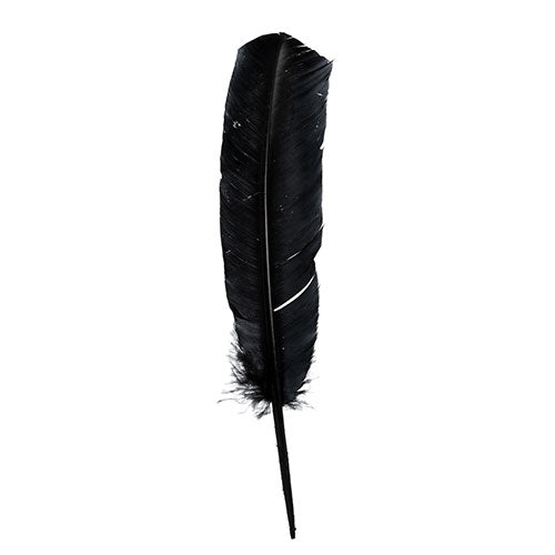 Turkey Quills 10-12" Black 6/pk