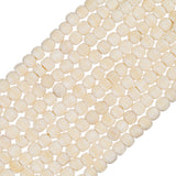 Bone Carved Round 6mm Antique Ivory 40/Str