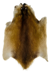 Muskrat Fur Pelt