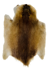 Muskrat Fur Pelt