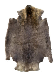 Beaver Fur Pelt Large #2