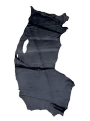 Sealskin Fur Pelt