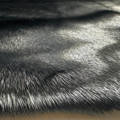 Sealskin Fur Pelt