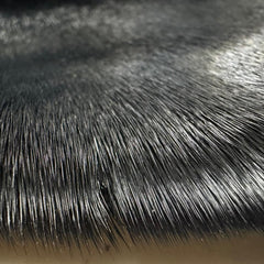 Sealskin Fur Pelt