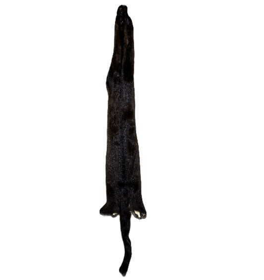 Fur Pelt Mink Brown