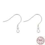 Sterling Silver Fish Hook Earrings 2/pk