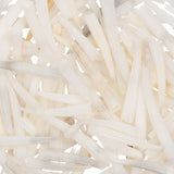 Small Ridged Dentalium Shells 1 oz