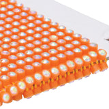 Plastic Rhinestone Banding 2mm Orange/Crystal AB 10yd/pk