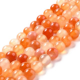 Carnelian Beads 8mm Round (Natural) 15-16" Strand