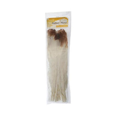 Turkey Feathers Brown "Eagle" 6/pk