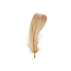 Goose Feathers Brown 6g