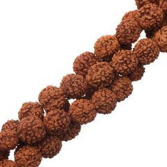 6mm Round Rudraksha Beads 109/Strand