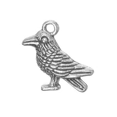 3/4" Raven Metal Charm 5/pk