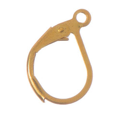 Gold Lever Back Earrings 10/pk