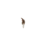 Rooster Furnace Saddle Feathers Natural 3g