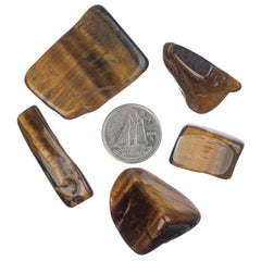 Tiger Eye Gold Tumbled Stone - Each